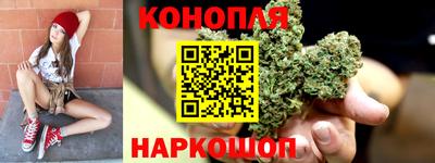 трава Малгобек