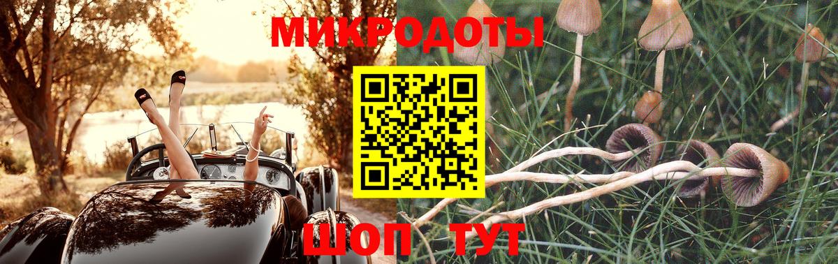 Псилоцибиновые грибы Cubensis Уссурийск